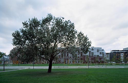 Ein Foto von Rupert Steiner