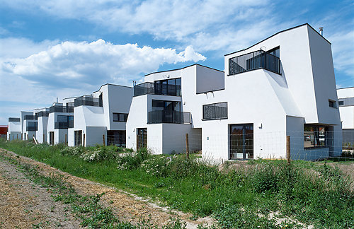 Ein Foto von Rupert Steiner