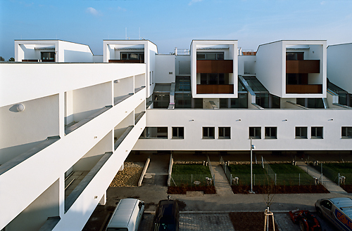 Ein Foto von Rupert Steiner