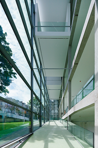 Ein Foto von Rupert Steiner