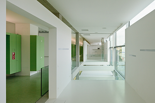 Ein Foto von Rupert Steiner