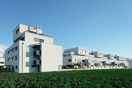 Ein Foto von Rupert Steiner