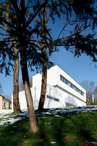 Ein Foto von Rupert Steiner