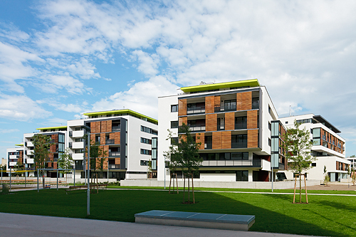 Ein Foto von Rupert Steiner