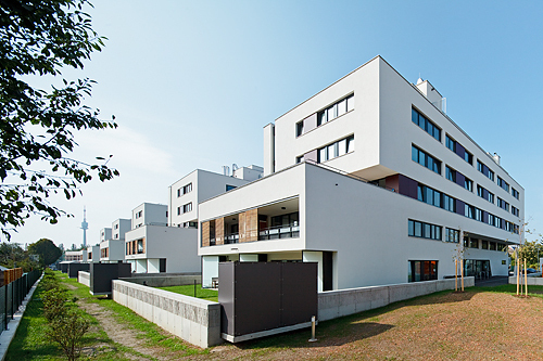 Ein Foto von Rupert Steiner