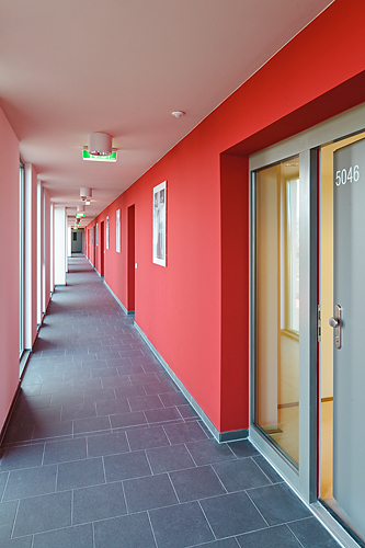 Ein Foto von Rupert Steiner