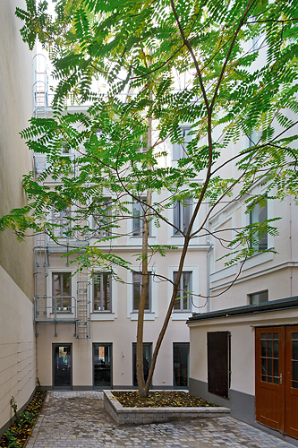 Ein Foto von Rupert Steiner