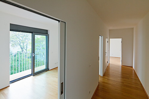 Ein Foto von Rupert Steiner