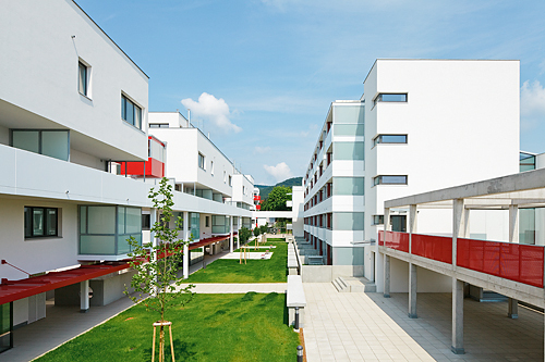 Ein Foto von Rupert Steiner