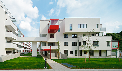 Ein Foto von Rupert Steiner