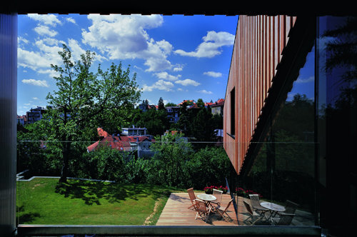 Ein Foto von Damir Fabijanić