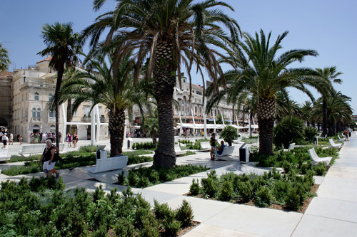 Ein Foto von Domagoj Blažević