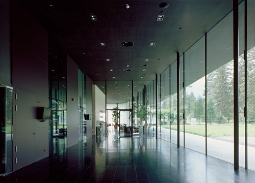 Ein Foto von Lukas Schaller