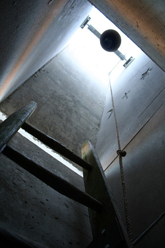 Ein Foto von Norbert Steiner