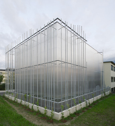 Ein Foto von Katharina Gürtler