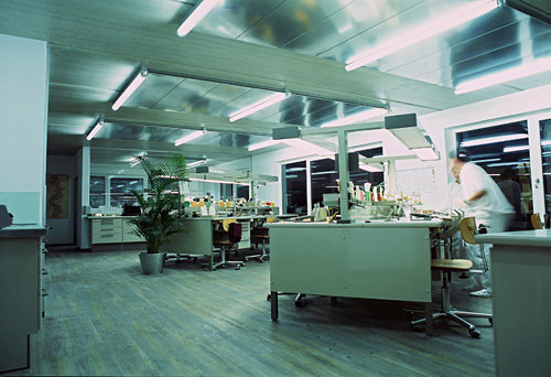 Ein Foto von Alexandra Eizinger