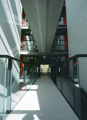 Ein Foto von Milli Kaufmann