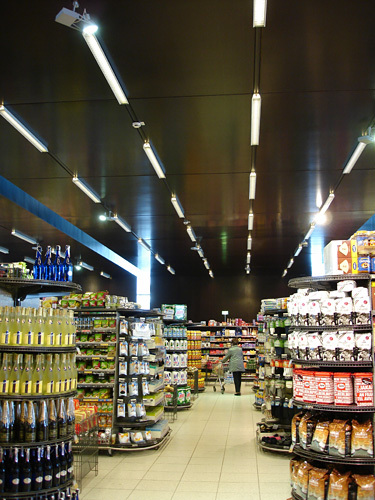 Ein Foto von Thomas Moser