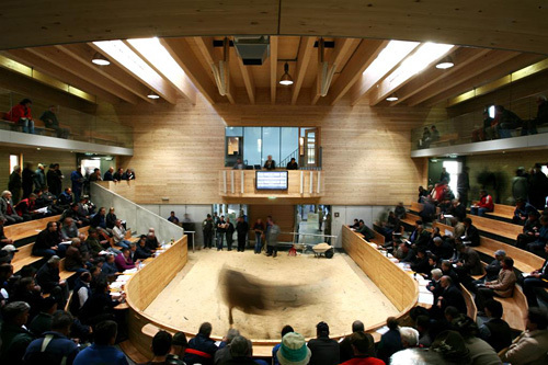 Ein Foto von Simon Rainer