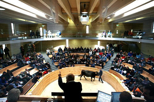 Ein Foto von Simon Rainer