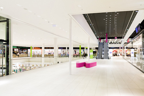 Ein Foto von Mojo Reitter