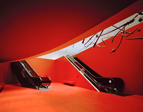 Ein Foto von Brigida Gonzalez