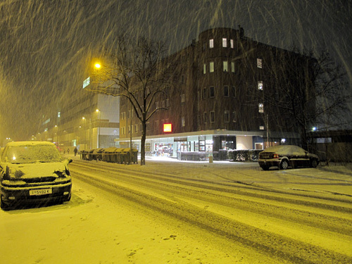 Ein Foto von Thomas Moser