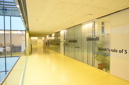 Ein Foto von Mathias Prachensky