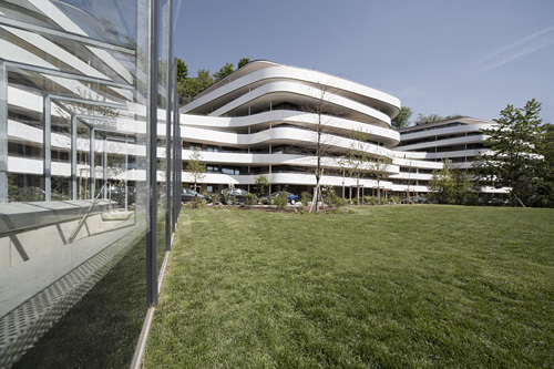 Ein Foto von Birgit Koell