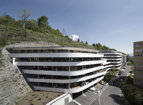 Ein Foto von Birgit Koell