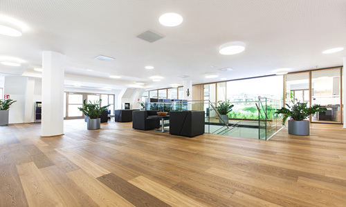 Ein Foto von Aria Sadr-Salek