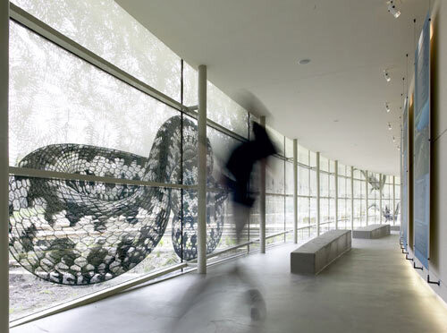 Ein Foto von Dieter Schewig