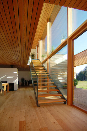 Ein Foto von Daniel Sauter