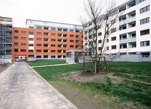 Ein Foto von Friedrich Achleitner