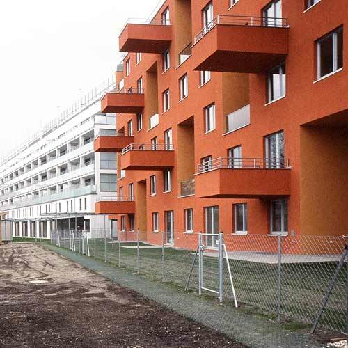 Ein Foto von Friedrich Achleitner