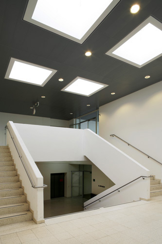 Ein Foto von Paul Ott