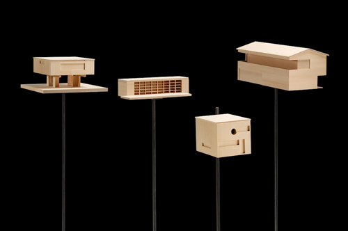 Ein Foto von Natter Bereuter