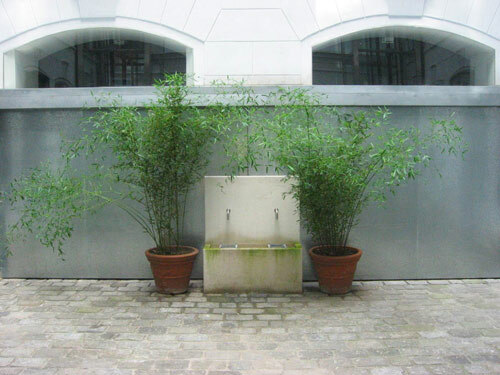 Ein Foto von Markus Swittalek