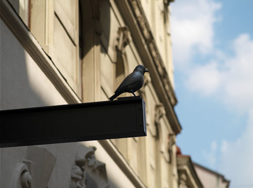 Ein Foto von Stefan Zenzmaier