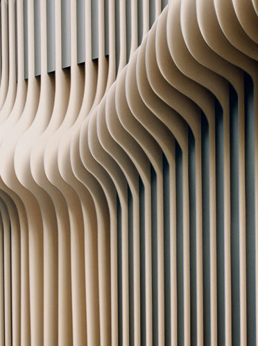 Ein Foto von David Schreyer