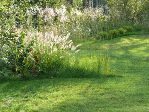 Ein Foto von Kai Stania