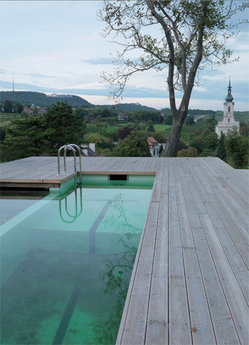 Ein Foto von Peter Burgstaller