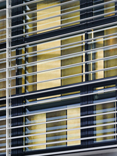 Ein Foto von Paul Ott