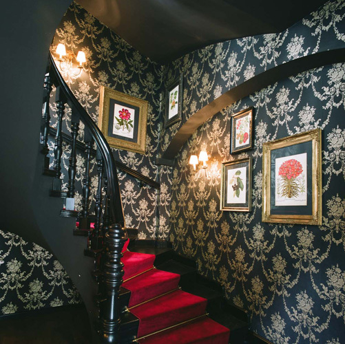 Ein Foto von Lea Titz