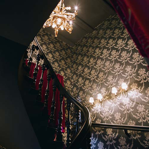 Ein Foto von Lea Titz