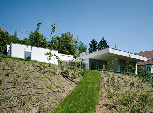 Ein Foto von Bruno Klomfar