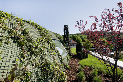 Ein Foto von Hertha Hurnaus