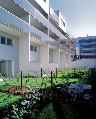 Ein Foto von Lukas Schaller