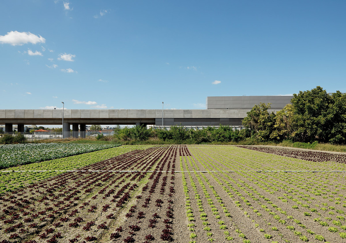 Ein Foto von Bruno Klomfar