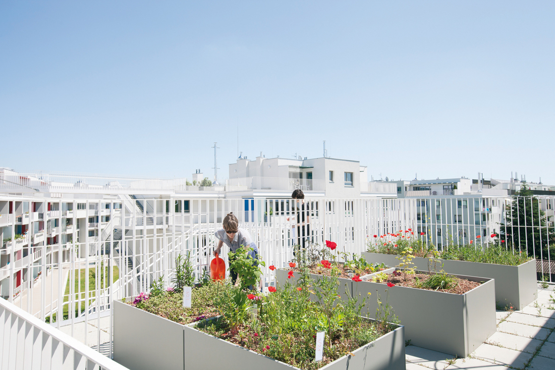 Ein Foto von Julian Mullan